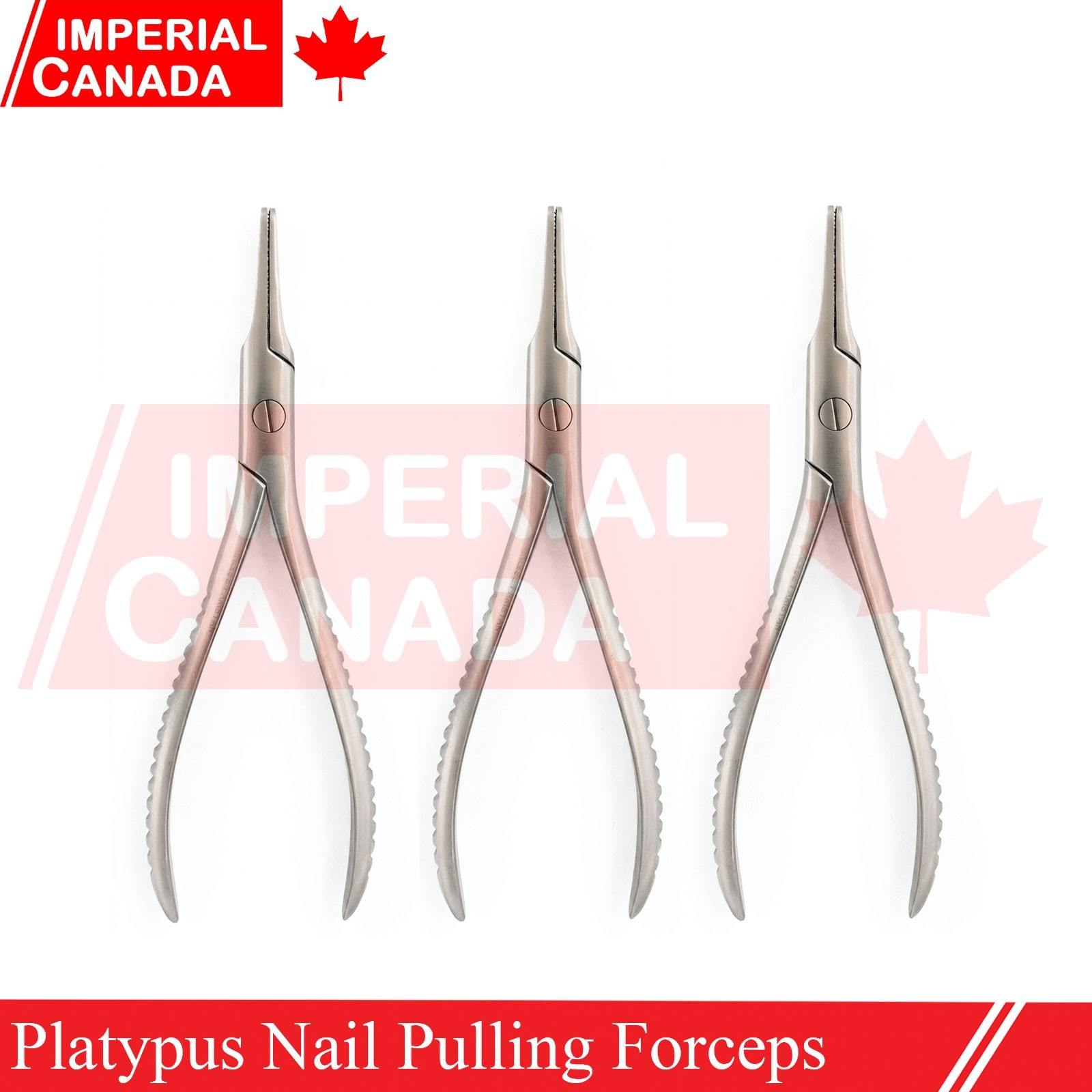 Platypus Nail Pulling Forceps Pliers 5.5" Surgical Instruments German Gr DN-2702