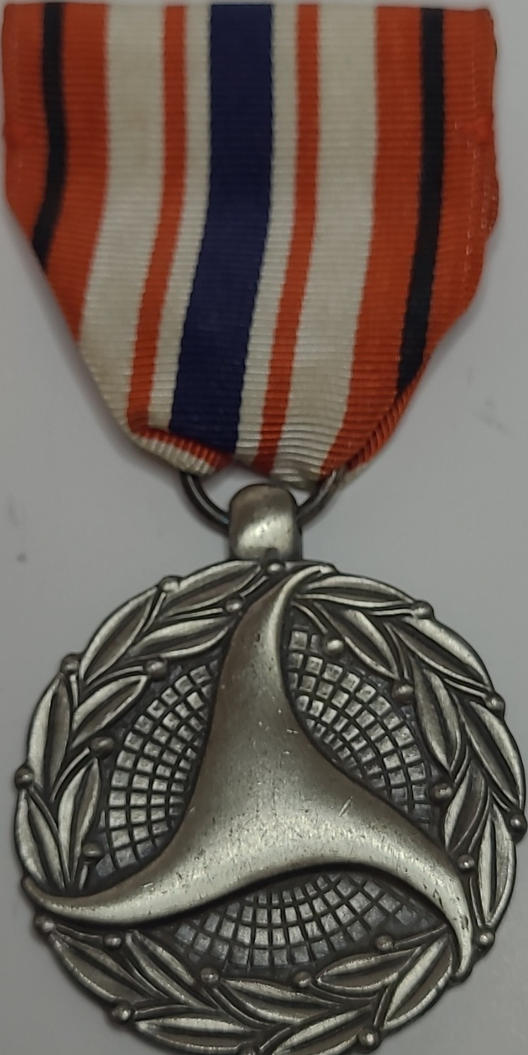 U.S. Dept of Transportation Meritorious Achievement Medal Ribbon Pinback