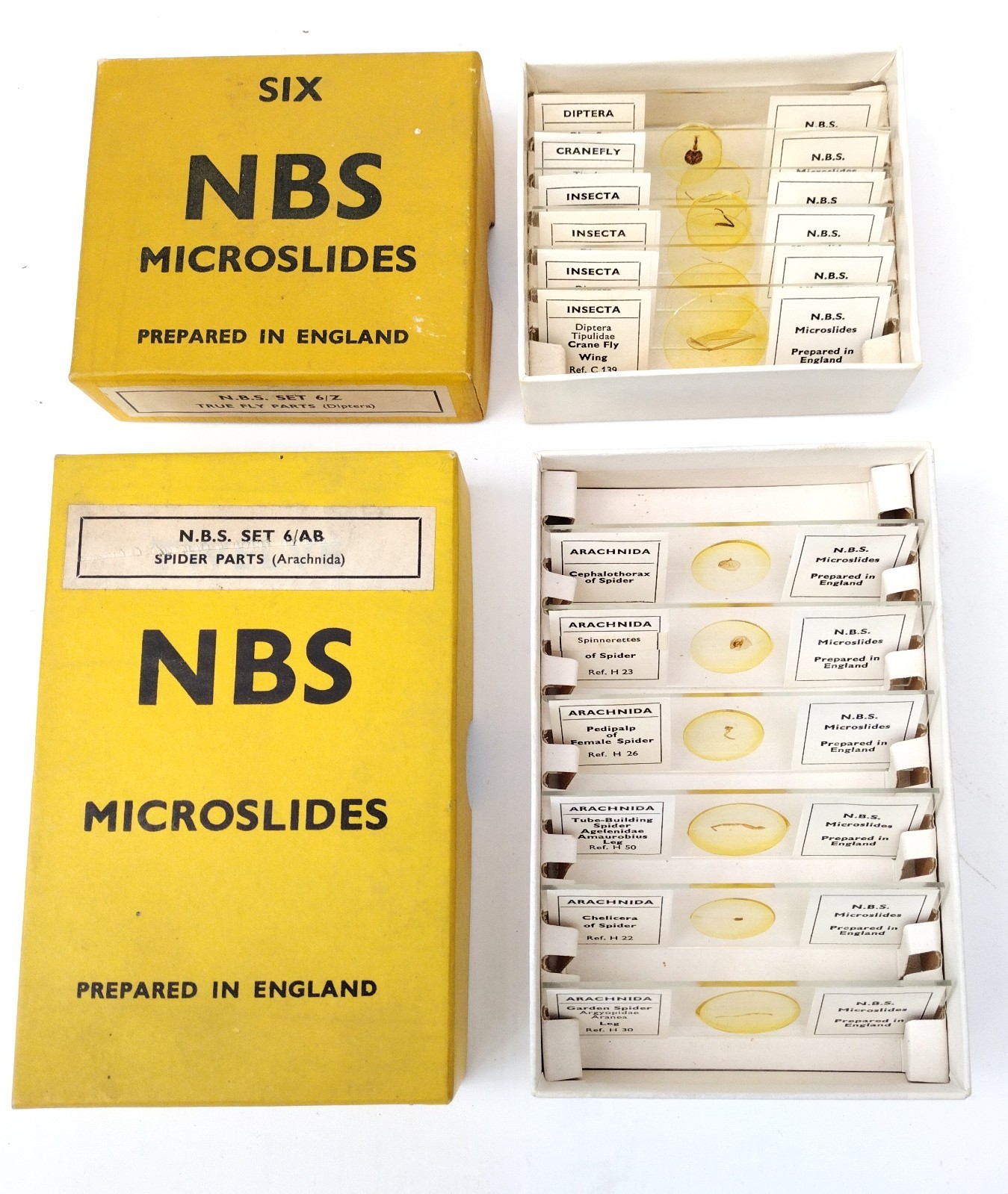 Microscope slides: petrology, histology, entomology etc