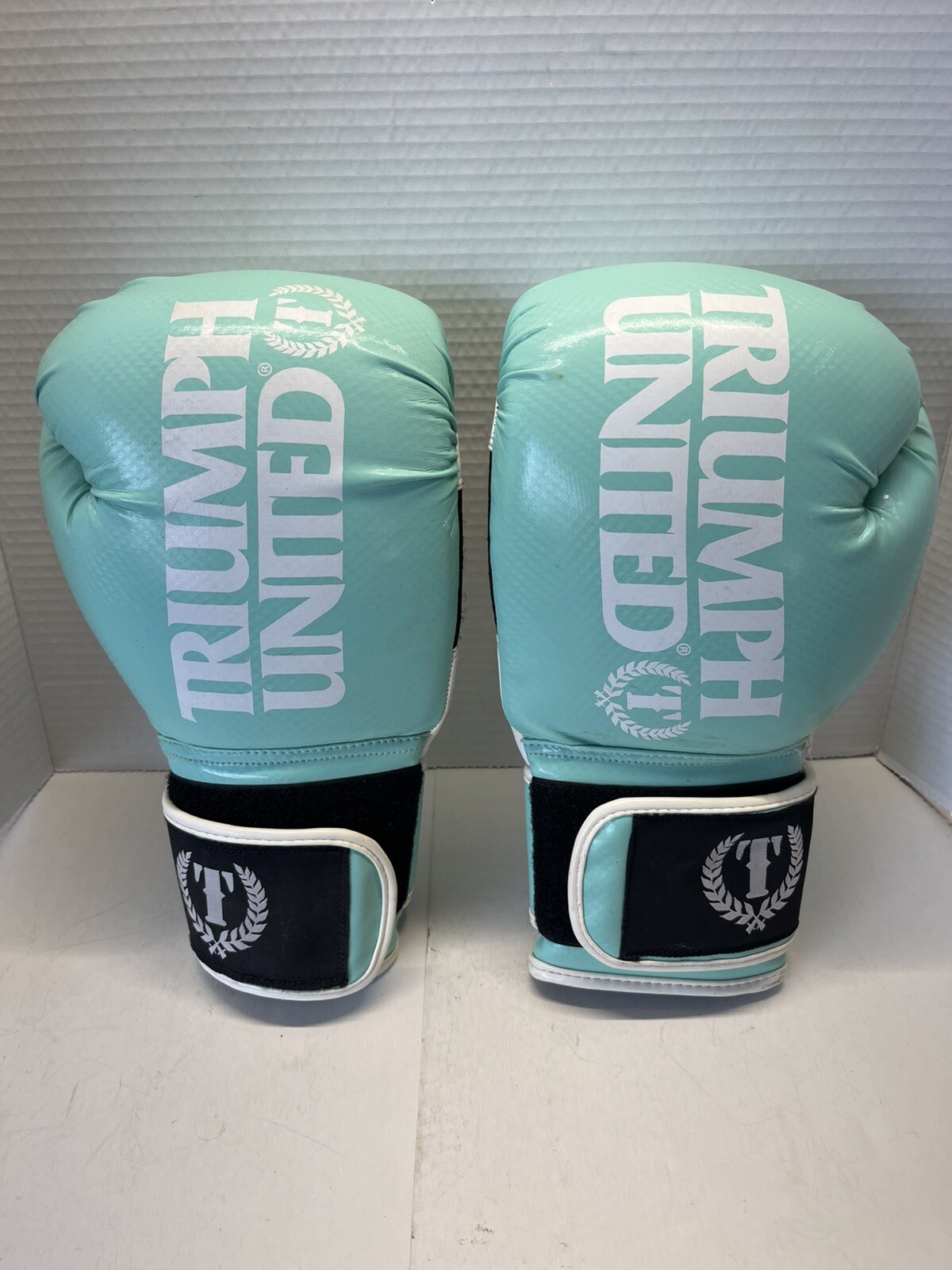 Triumph Pro Style United TBC Boxing Glove Woman 14oz