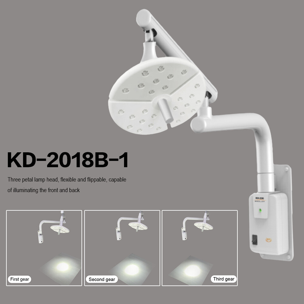 36W Wall-Mounted LED Dental Shadowless Exam Light ENT Surgery Operation Lamp