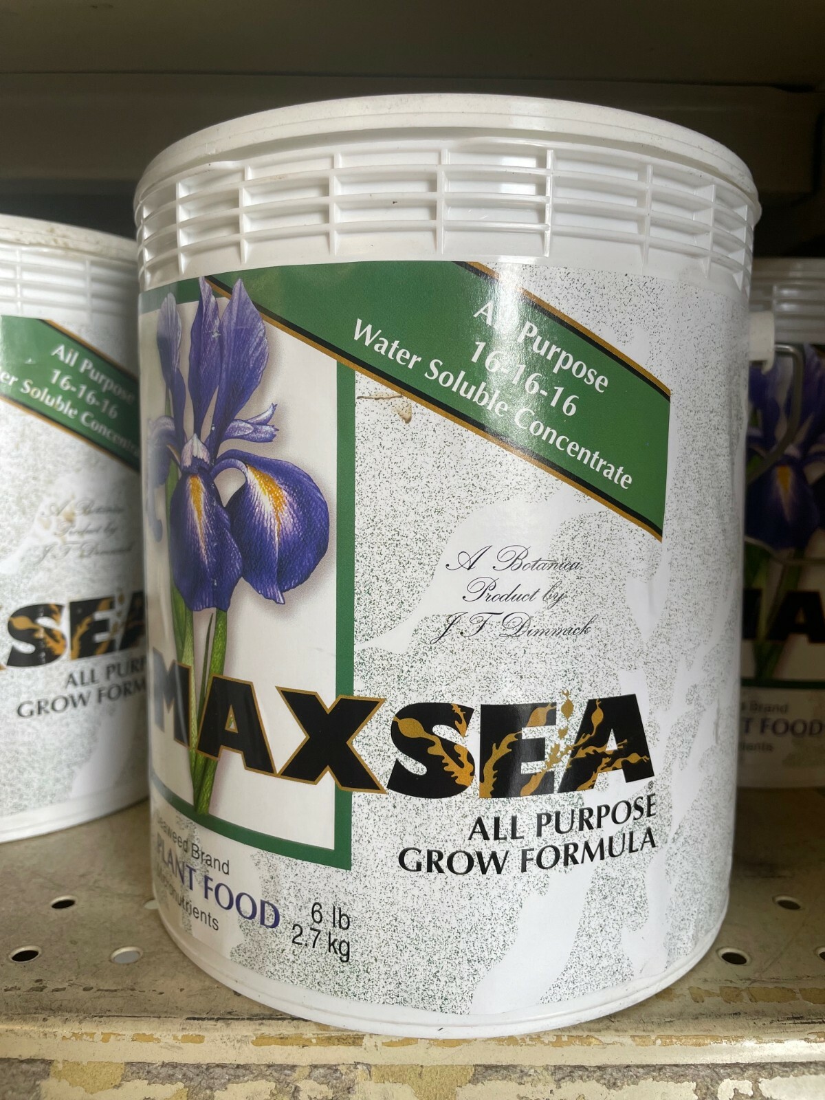 Maxsea All Purpose 16-16-16 Plant Food 6 lbs - water soluble seaweed grow