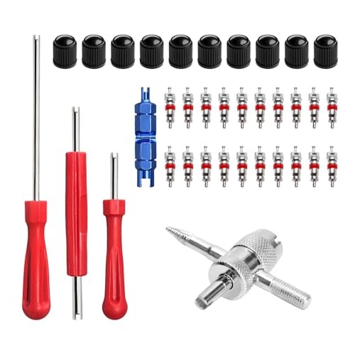 35PCS Valve Stem Puller Installer Tool Kit, Valve Cores & Caps with 4-Way Tool