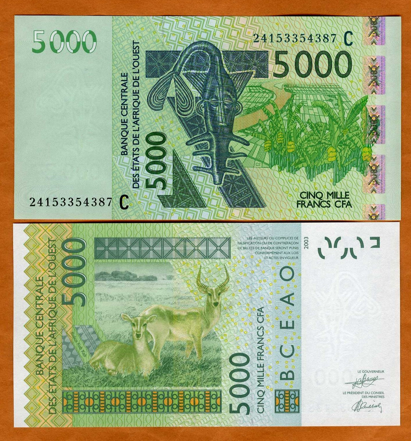 West African States, Burkina Faso 5,000 (5000) Francs, 2003 (2024) P-317Cx, UNC