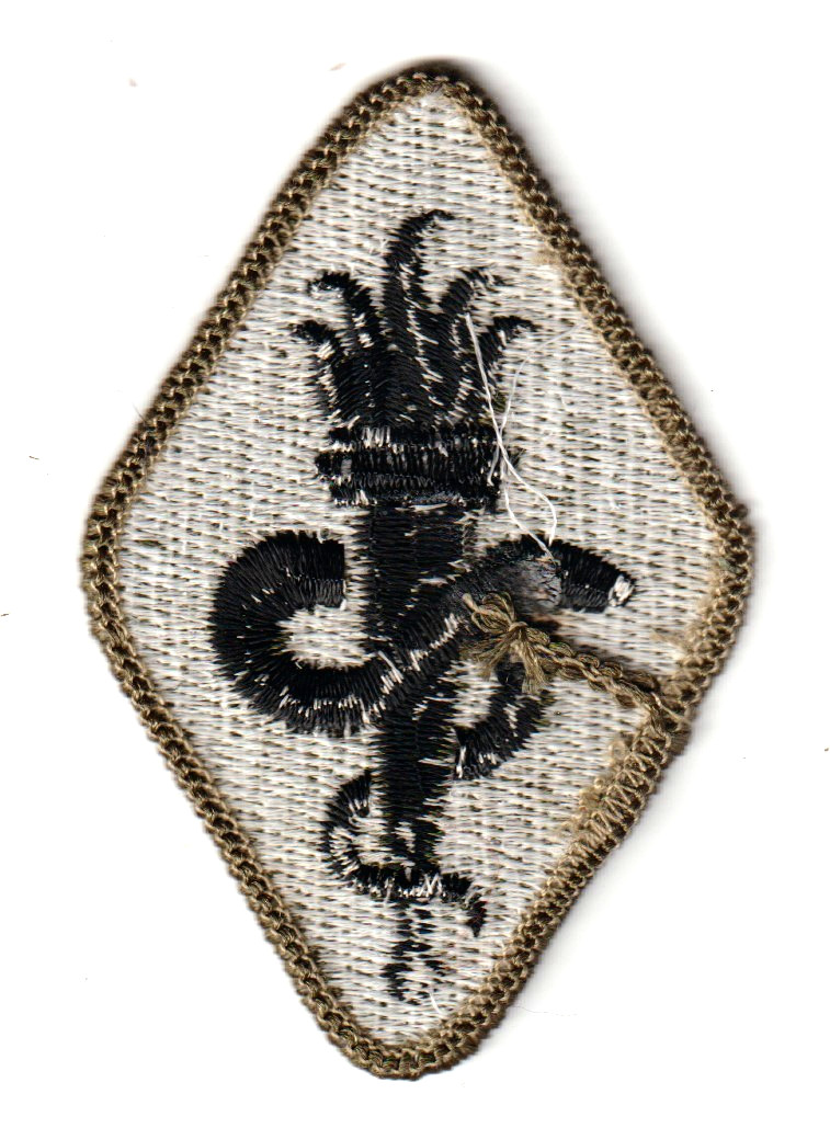 US ARMY MEDICAL TRAINING SCHOOL Olive/Drab Patch