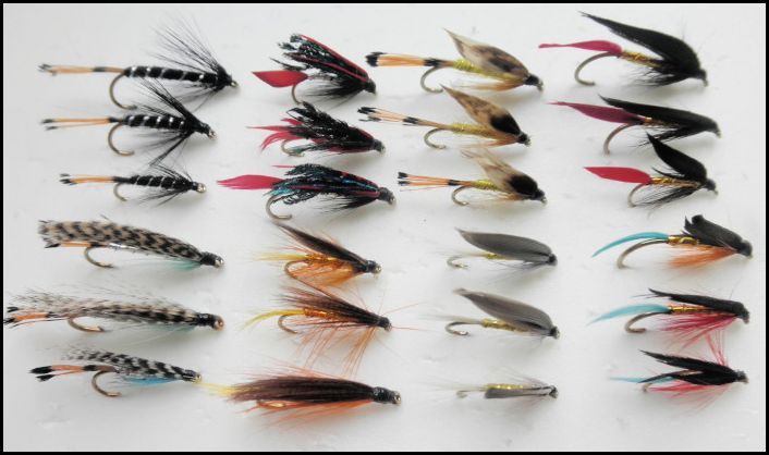 Sea Trout Fishing Flies, 24 Pack Large Hook Wets, Mixed 6/8/10 Fly Fishing SF3I