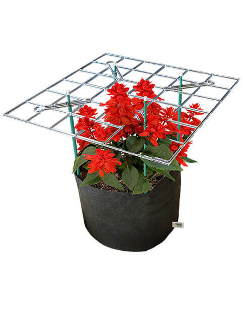 Smart P SCROG Kit - Complete with 10 gal. Smart Pot® and adjustable stakes