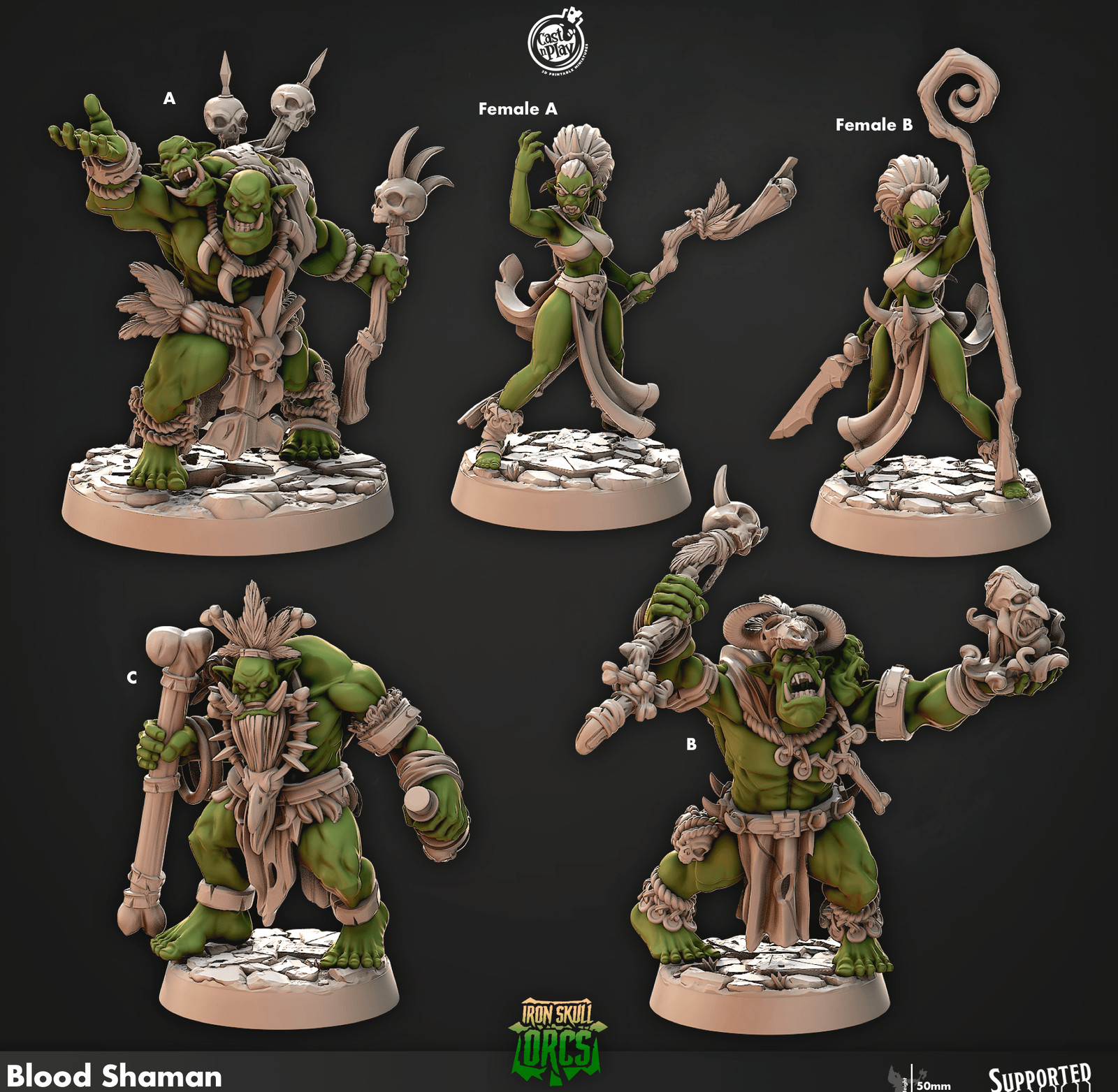 3D Printed Cast n Play Blood Shaman Iron Skull Orcs 28mm 32mm D&D