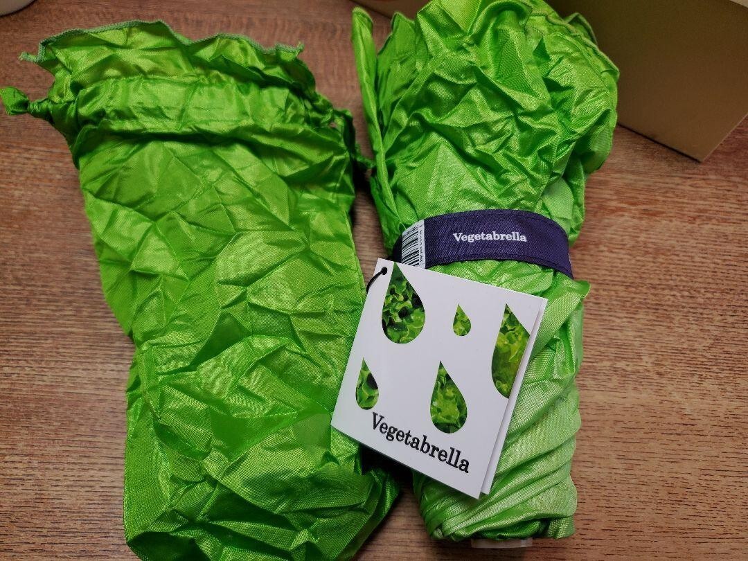 Vegetable look Folding Umbrella Lettuce Green fashion goods unisex polyester