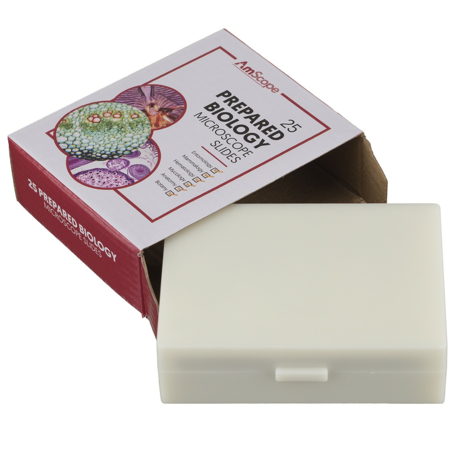 AmScope 25 Glass Prepared Zoological & Botanical Microscope Slides w Plastic Box