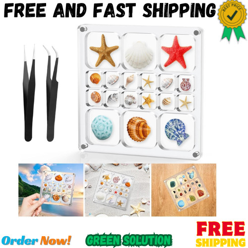 Acrylic Magnetic Seashell Display Box,Clear Sea Shell Display Box,Beach Magnet S