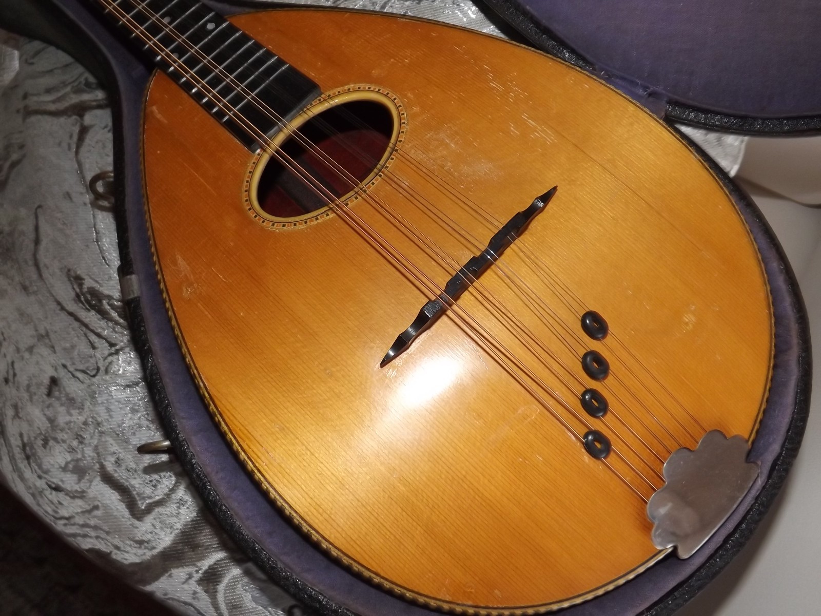 Rare Weymann Mandolute 100yrs old