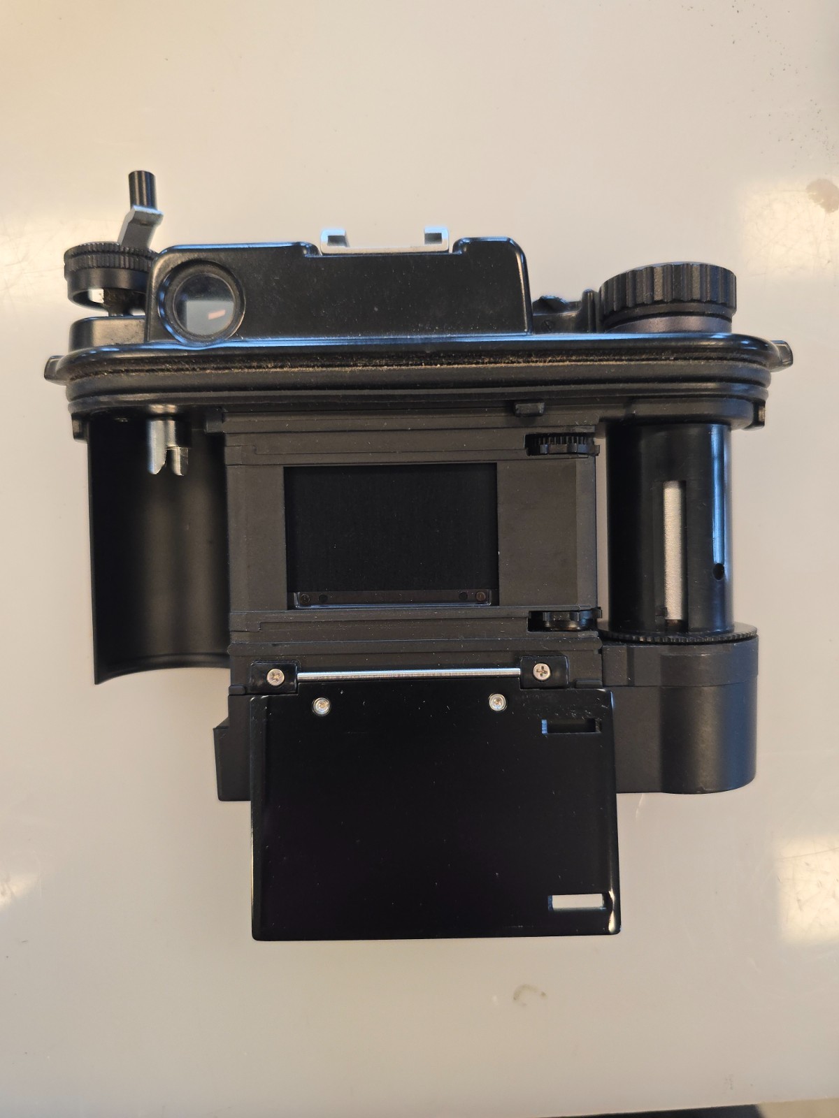 Nikonus III