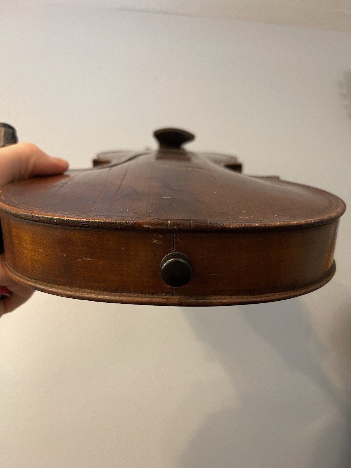 Maggini Violin 4/4 Project