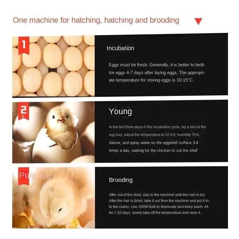 204 Egg Incubator Fully Automatic Turning Digital Brooder WiFi for Farm Home Use