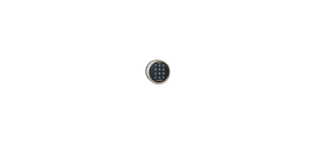 AMSEC-American Security ESL5-CHROME Electronic Safe Lock