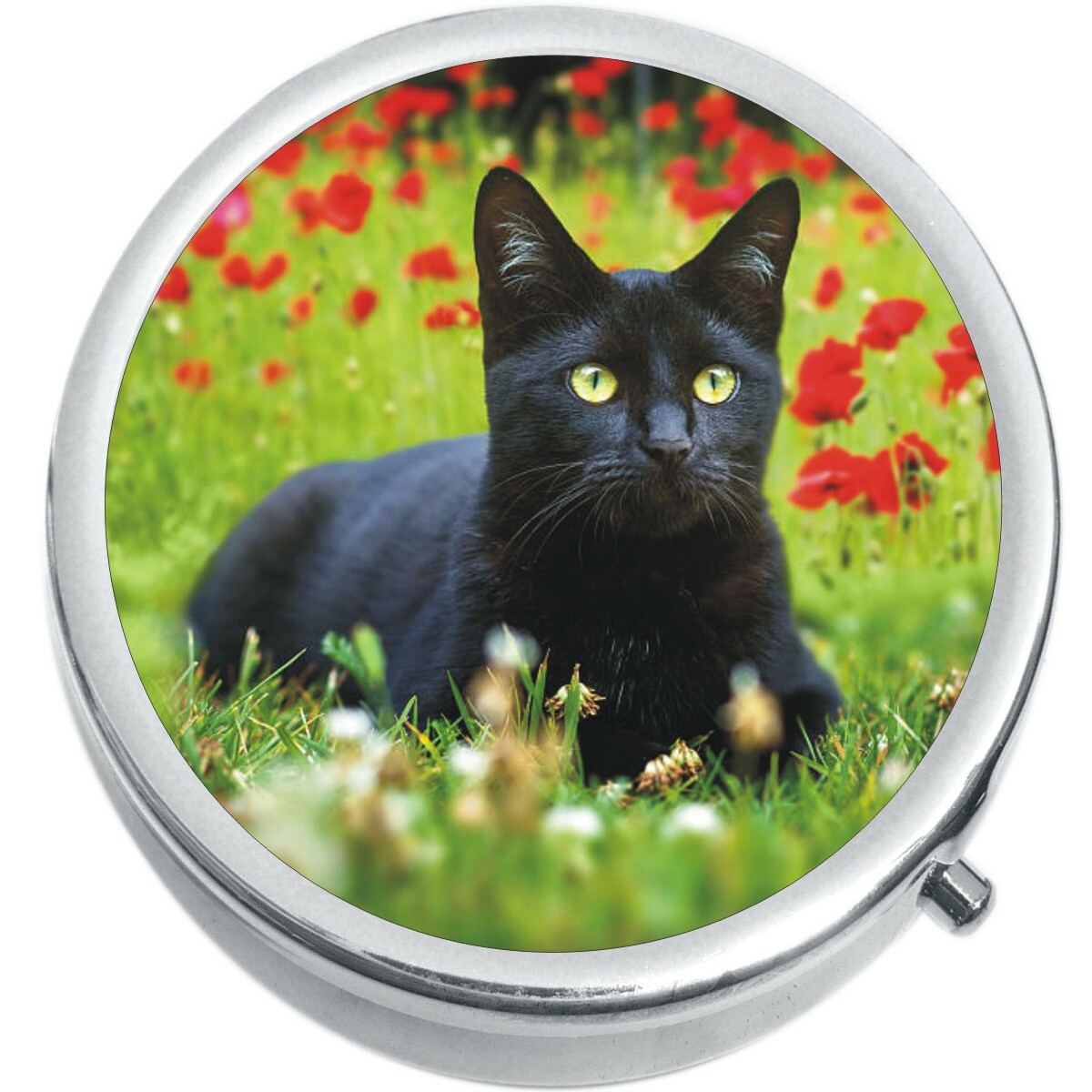 Black Cat and Flowers  Medicine Vitamin Pill Box