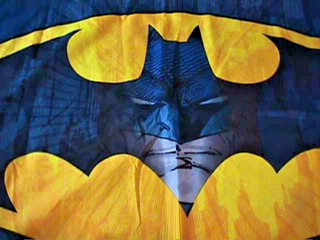 BOYS KID'S ROOM BATMAN PILLOWCASE DC COMICS