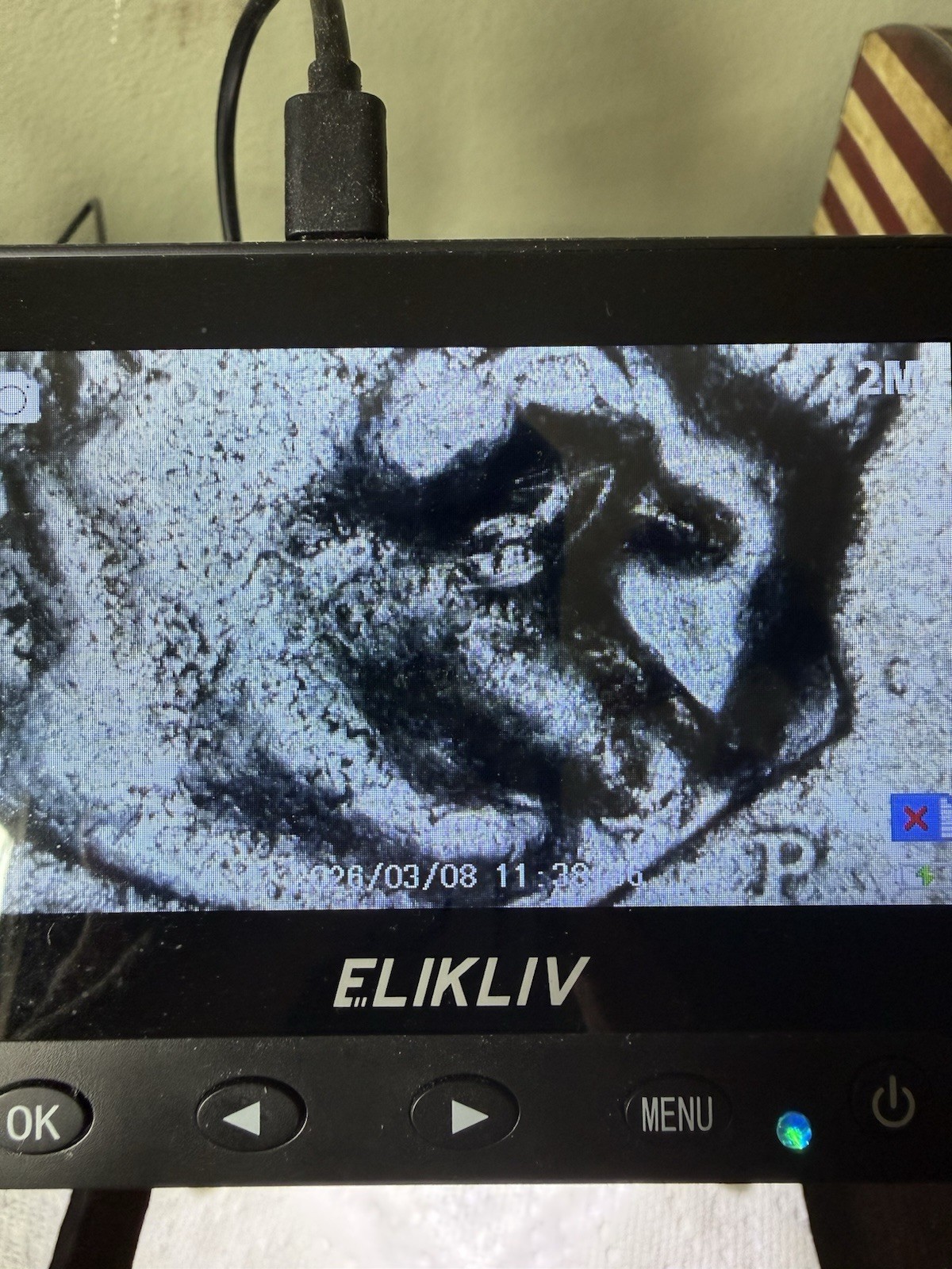 2019 P Roosevelt Dime (Error - Extreme Strike Through)