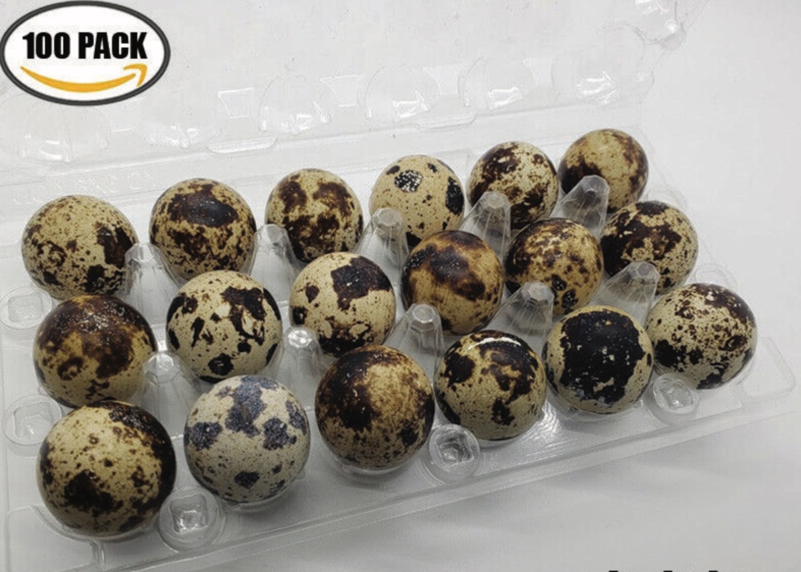 JUMBO Quail Egg Cartons (100 packs) Holds 18 Eggs Secure Snap Close!