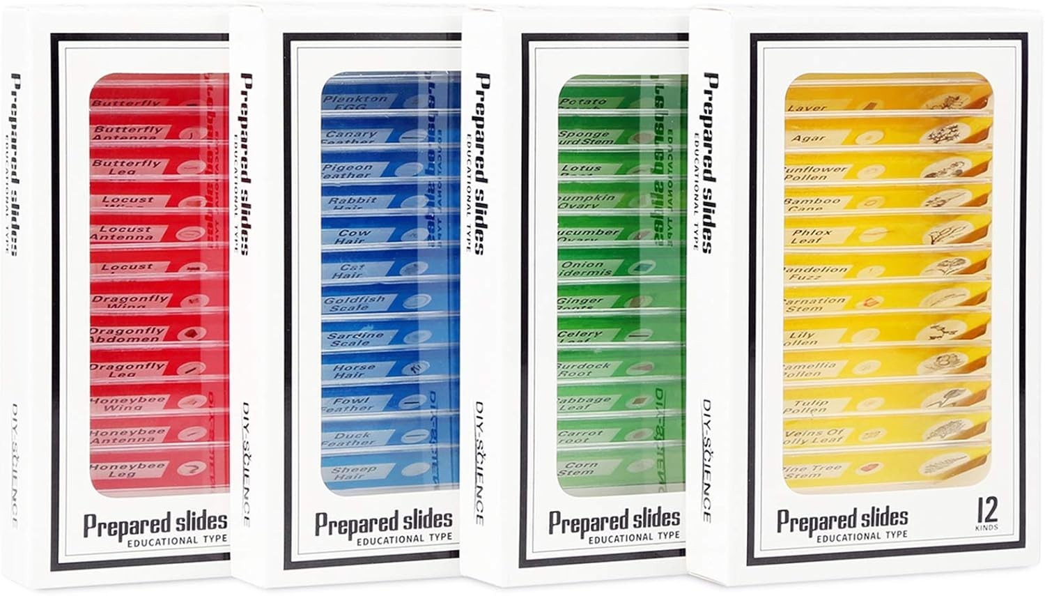 48 Prepared Microscope Slides for Kids - Safe & Clear Science Education