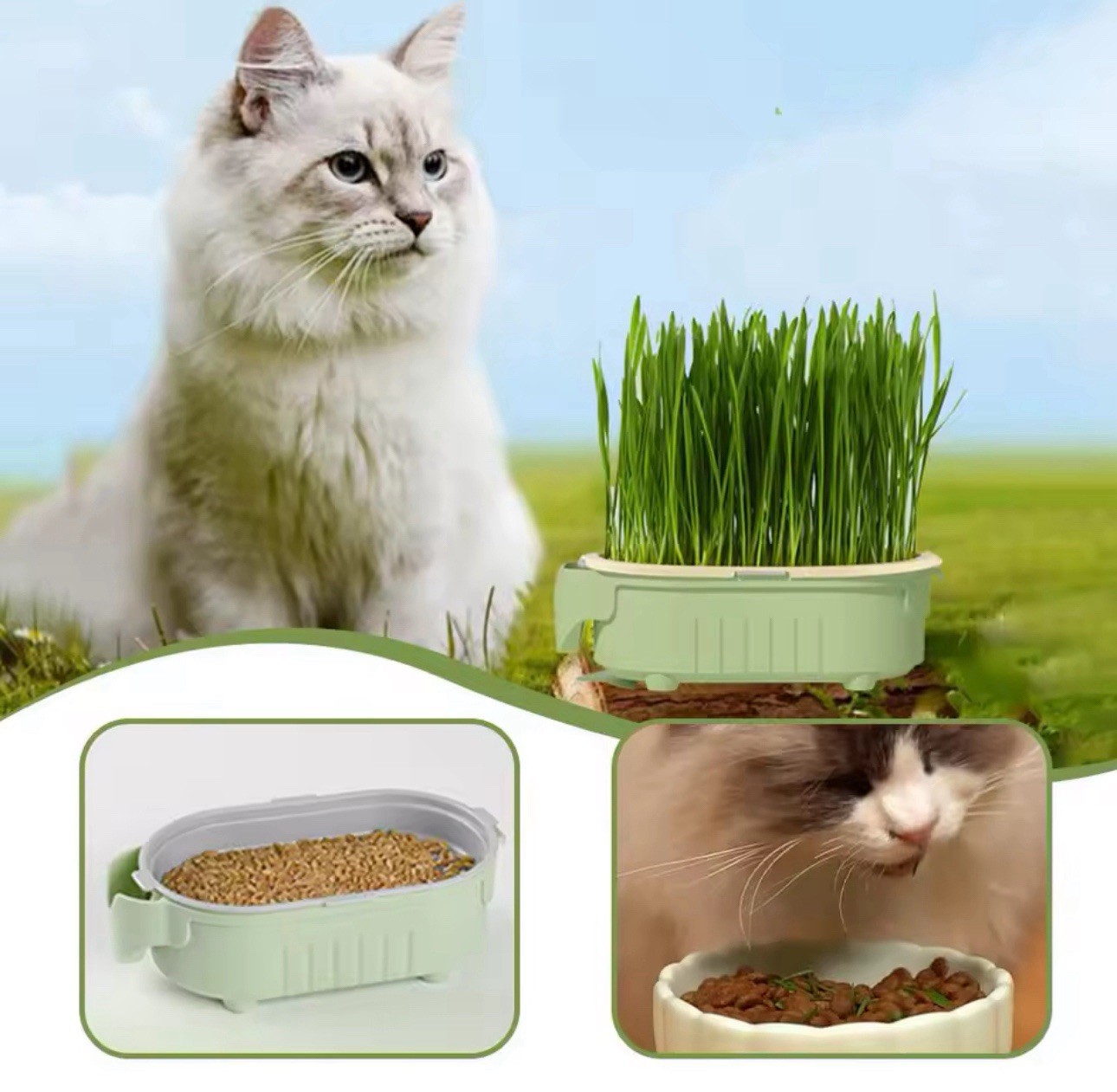 Cat Grass Planter Hydroponic Growing Tray Indoor Soilless Plant Box
