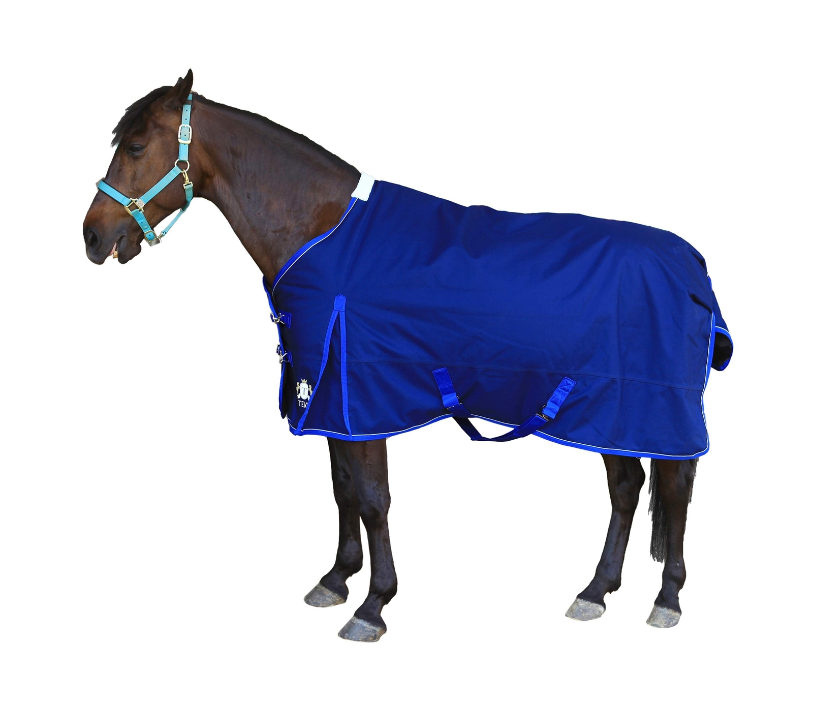 T TEKE Ultimate Turnout Blanket for Horses, 1050D Ballistic Nylon Outer, 220g...