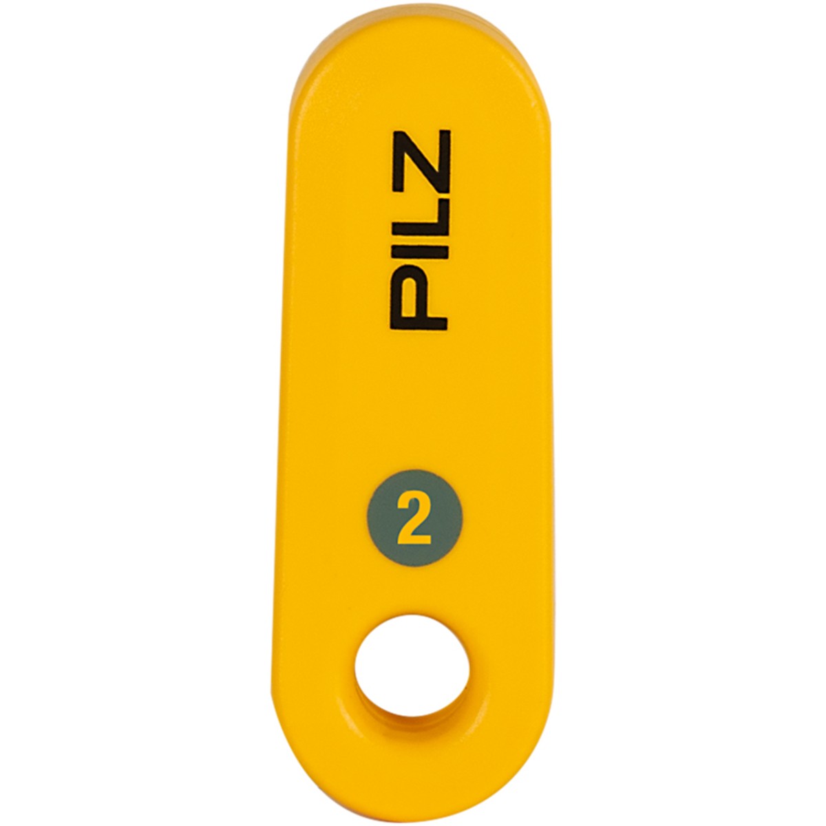 MUSHROOM 541182, PSEN Cs4.1 Key Gy2