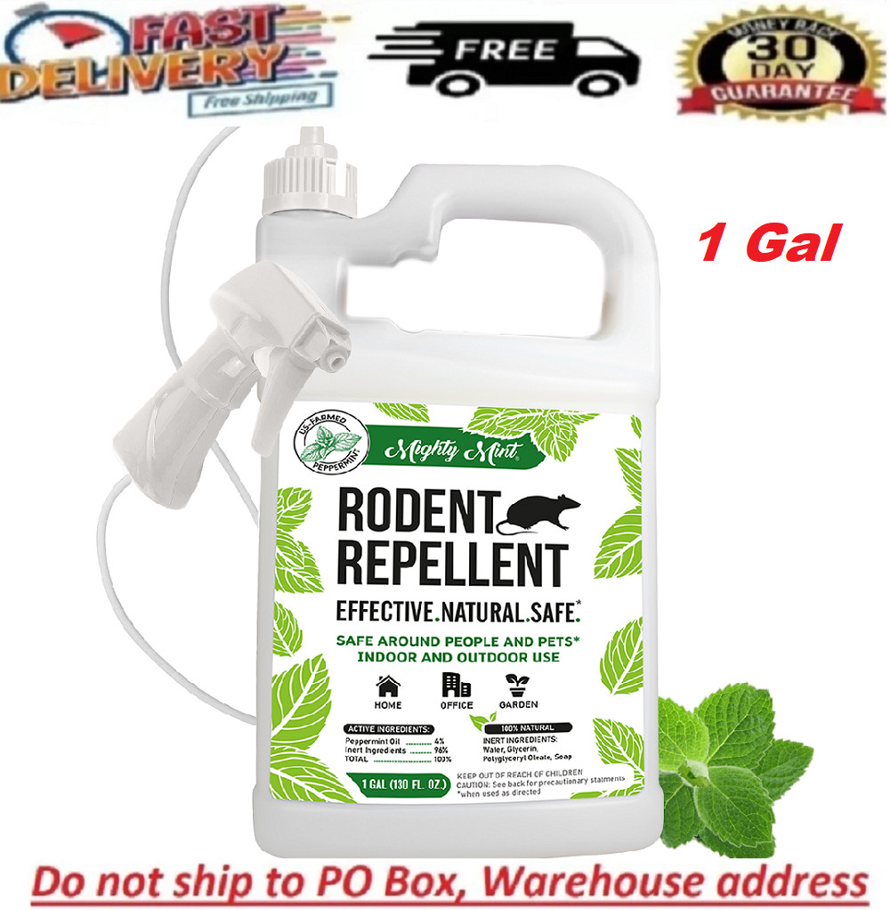 Mighty Mint 1 Gallon Mice Rat Rodent Repellent Spray, All Natural Peppermint Oil