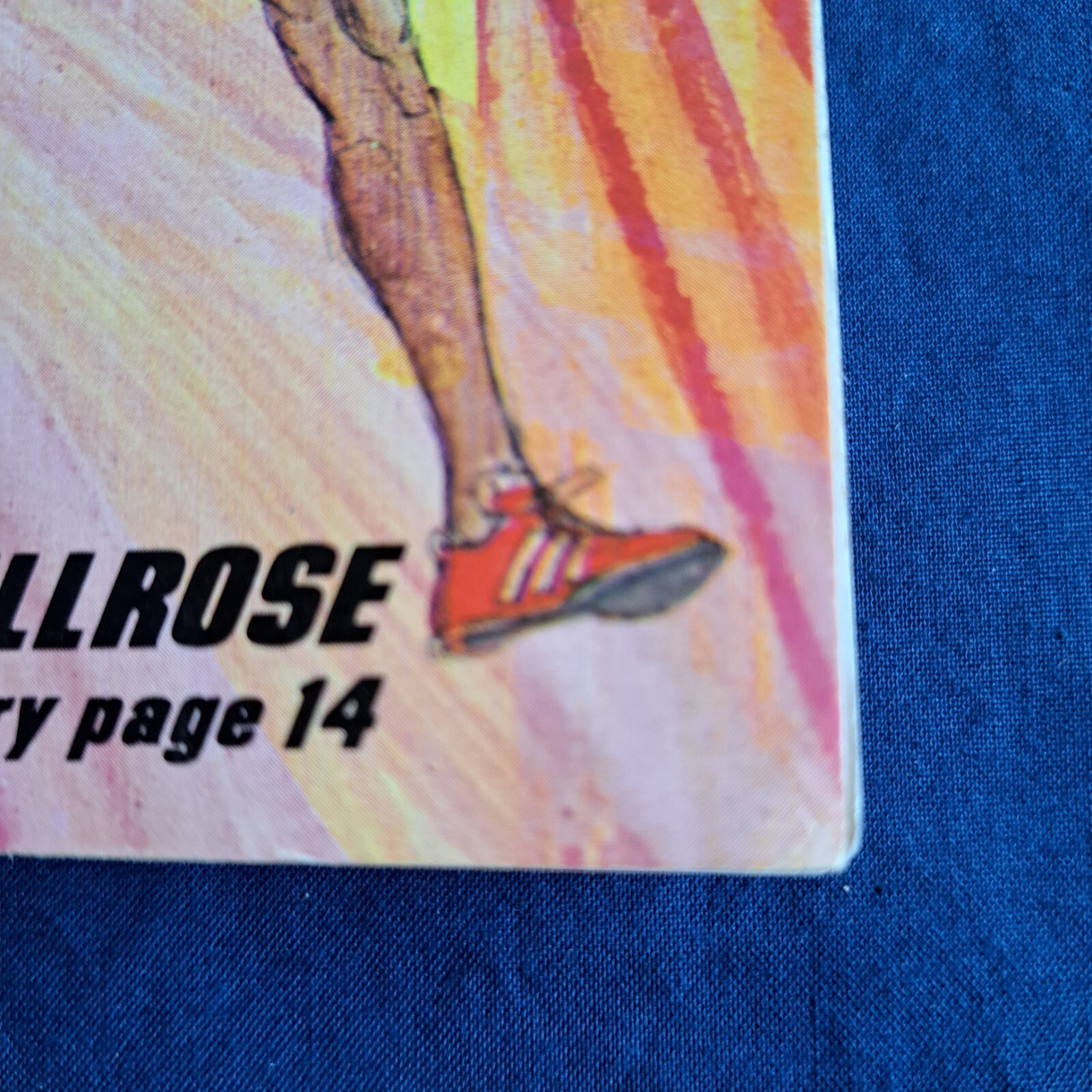 Wanamaker Millrose Games,Track & Field Program 1977, Madison Square Garden, VG!!
