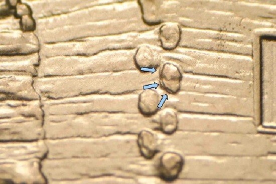 2009 D EC WDDR-048 Lincoln Cent Early Childhood Log Cabin Birthplace Doubled Die