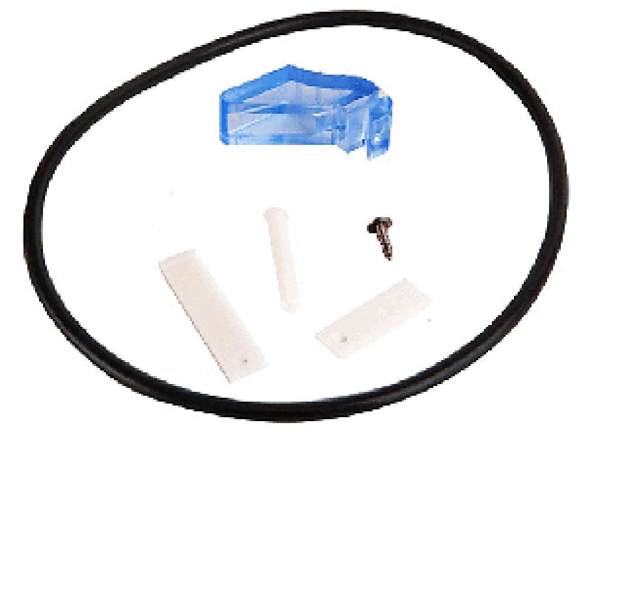 Pentair Rainbow Swimming Pool 186 Leaf Trap Latch, O-Ring Kit R211600