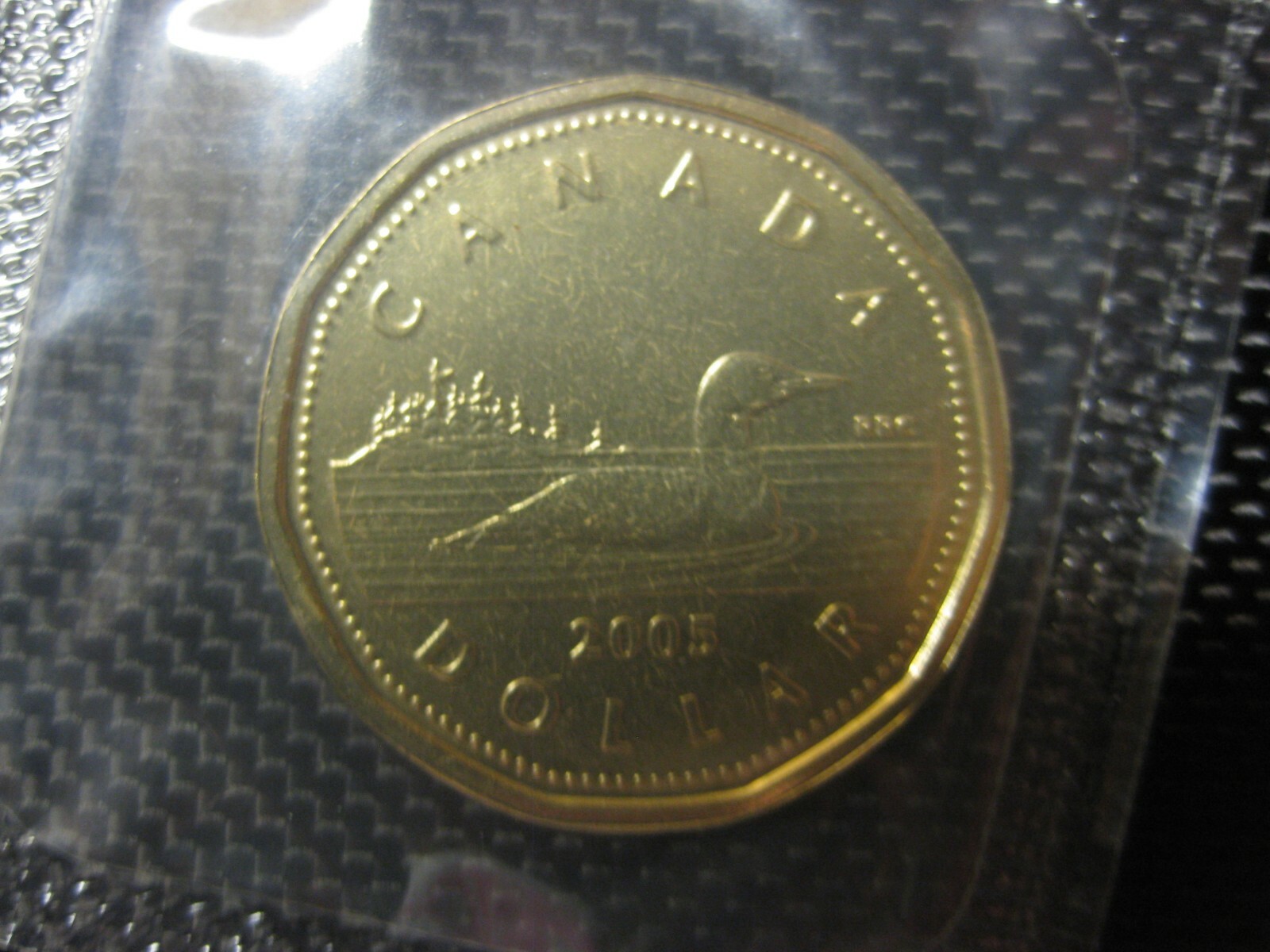2005 Canadian Prooflike Loonie ($1.00)