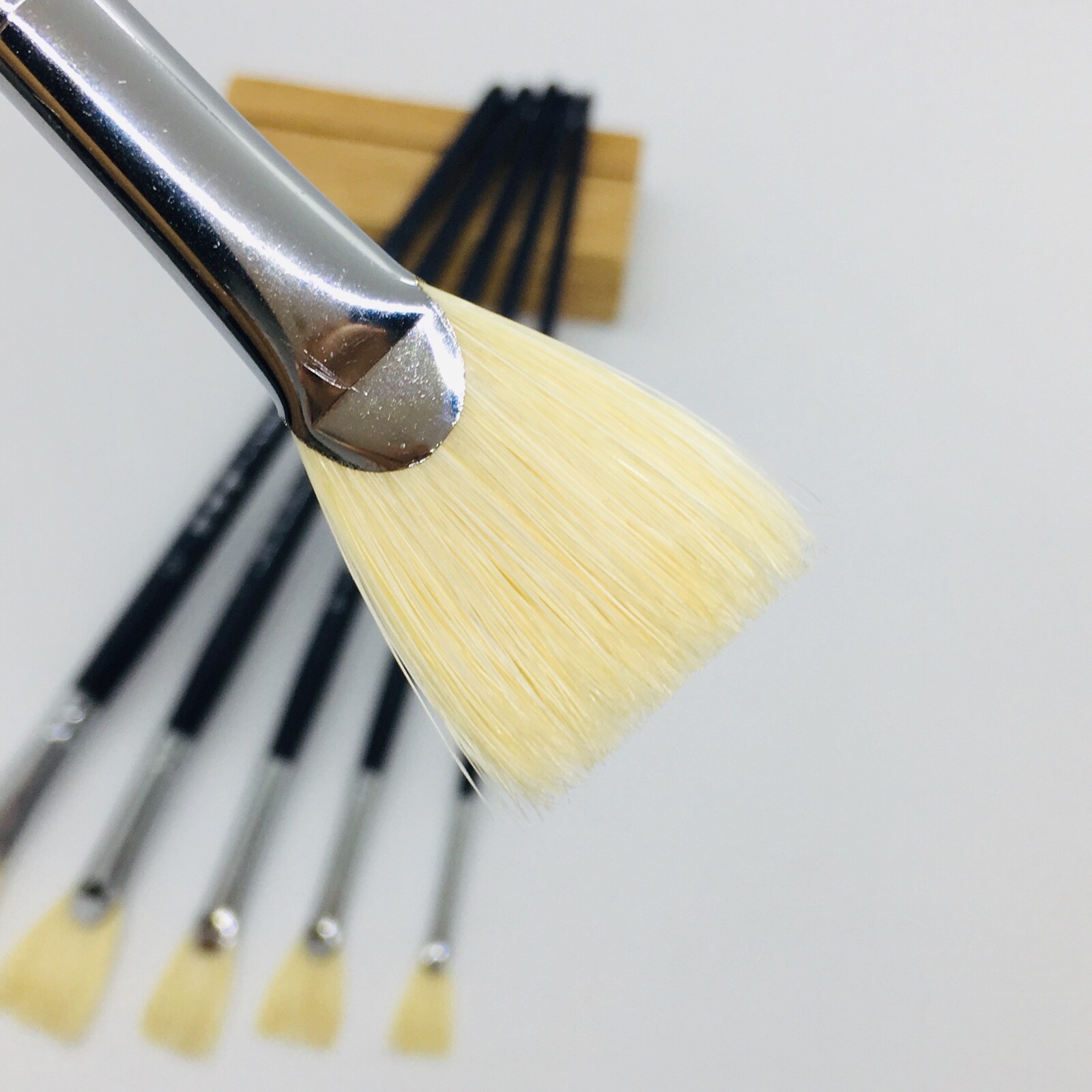 XDT#616-2 Fan Art Brush Set 6Pc #2#4#6#8#10#12 Hog Acrylic Oil Watercolor