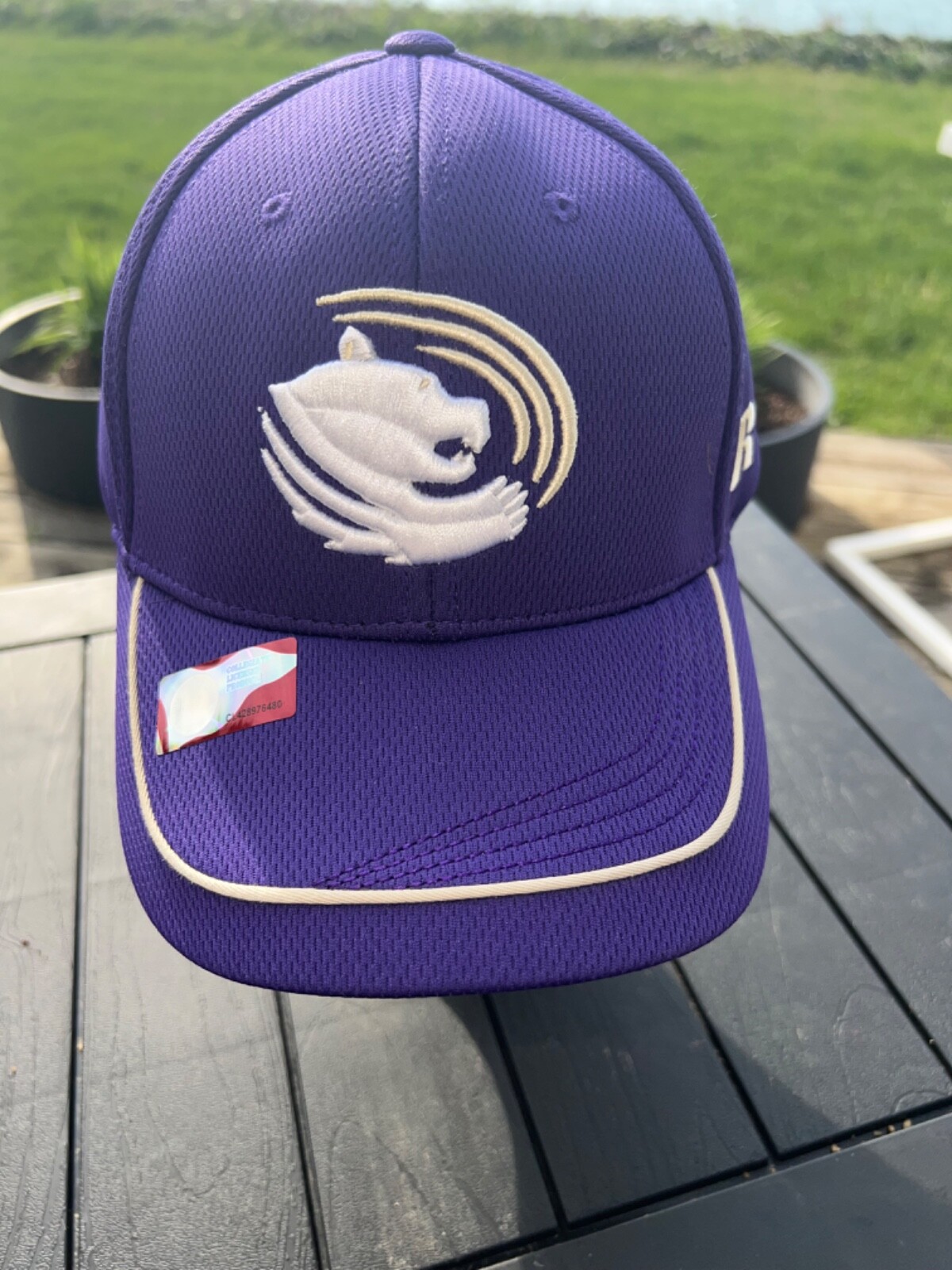 Purple Grizzlies Embroidered Logo Hat Cap Hook Loop EUC Licensed College
