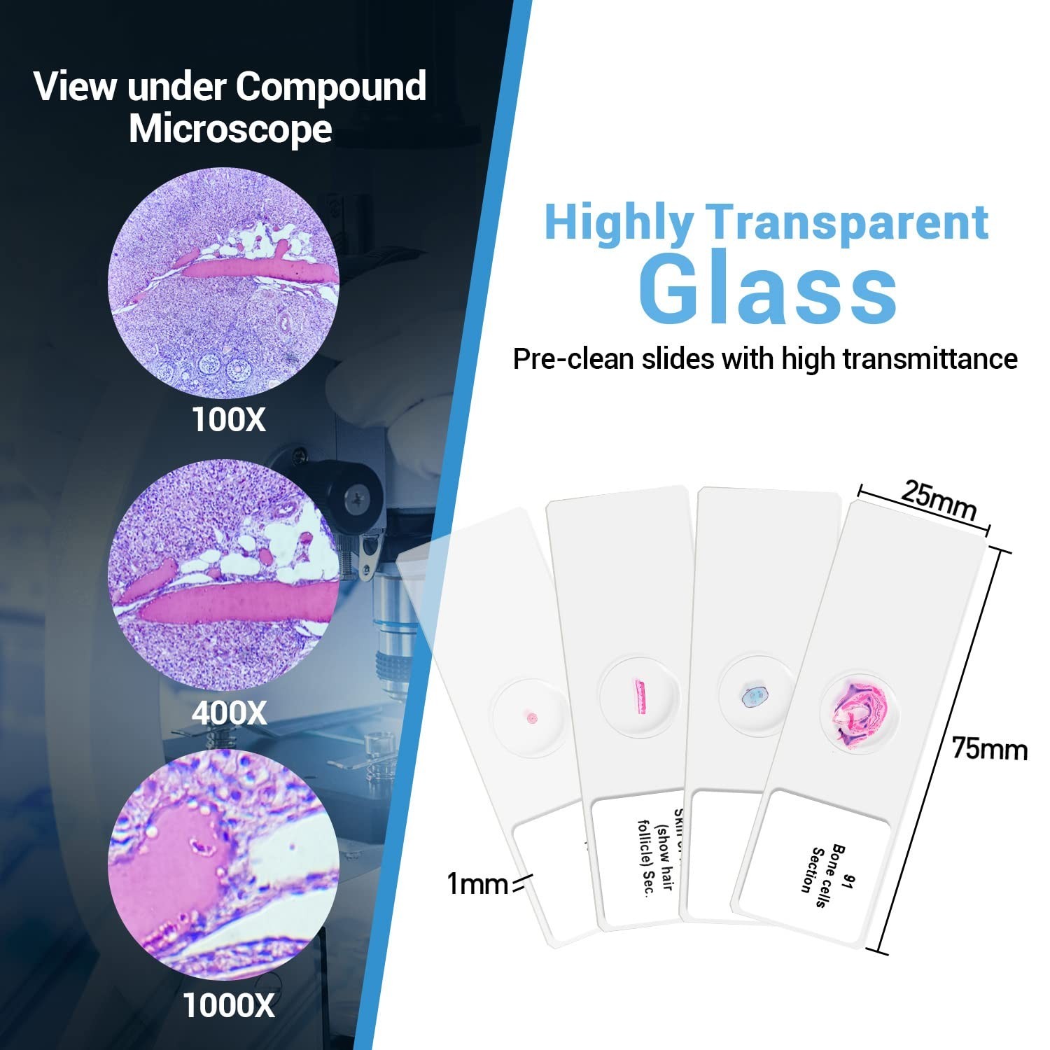 100 Microscope Slides with Frosted Edges - Perfect for Kids’ Science Experience