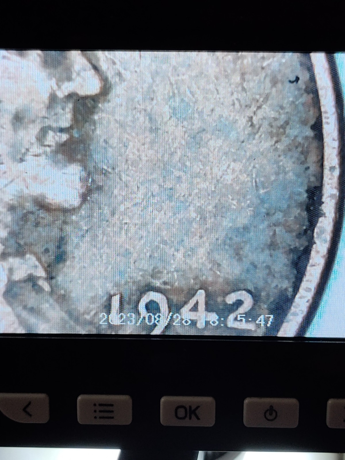 1942 No Mint Mark Wheat Penny Errors Obverse & Reverse