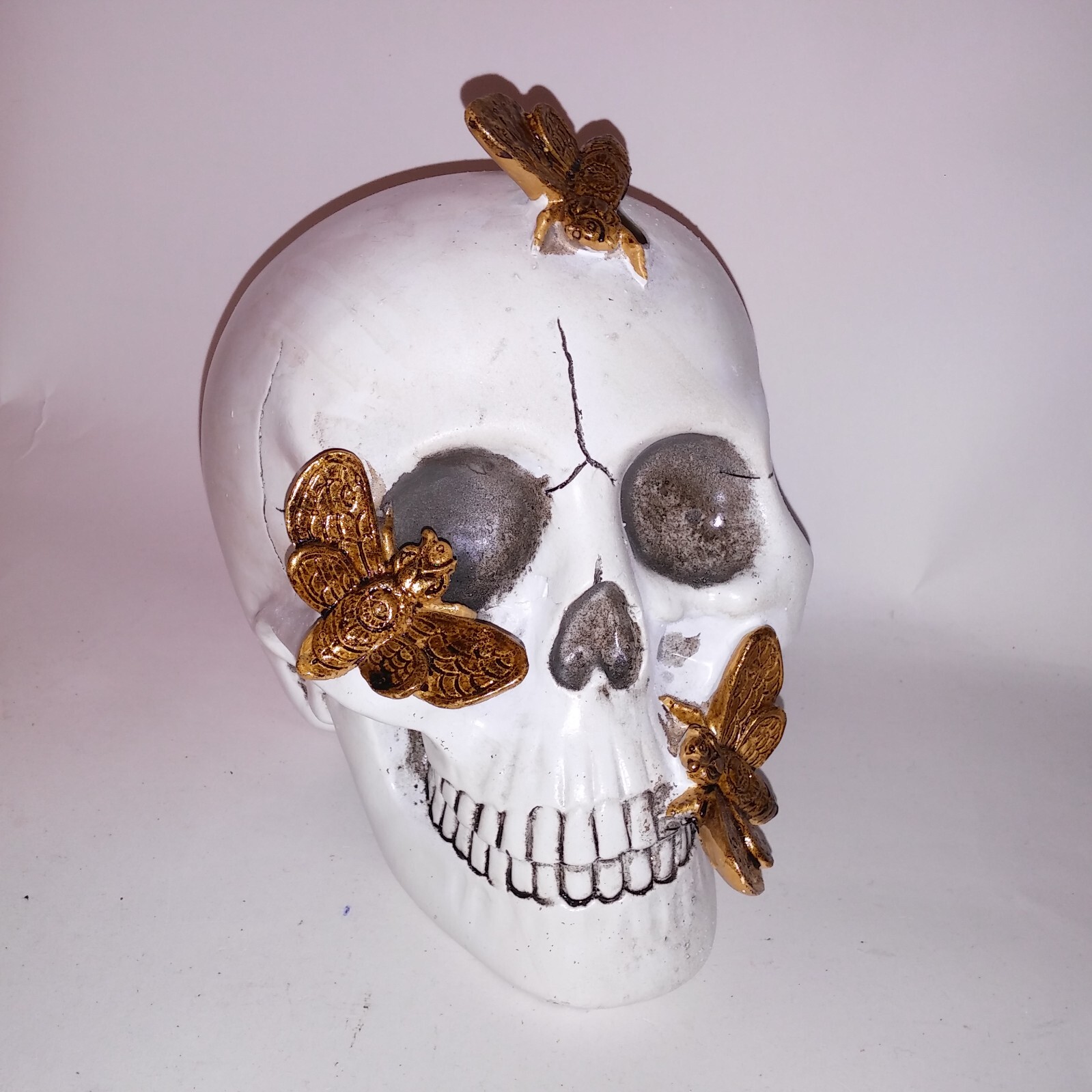 Halloween Decoration Skull Gold Bugs White Creepy Skeleton Head Home Decor READ