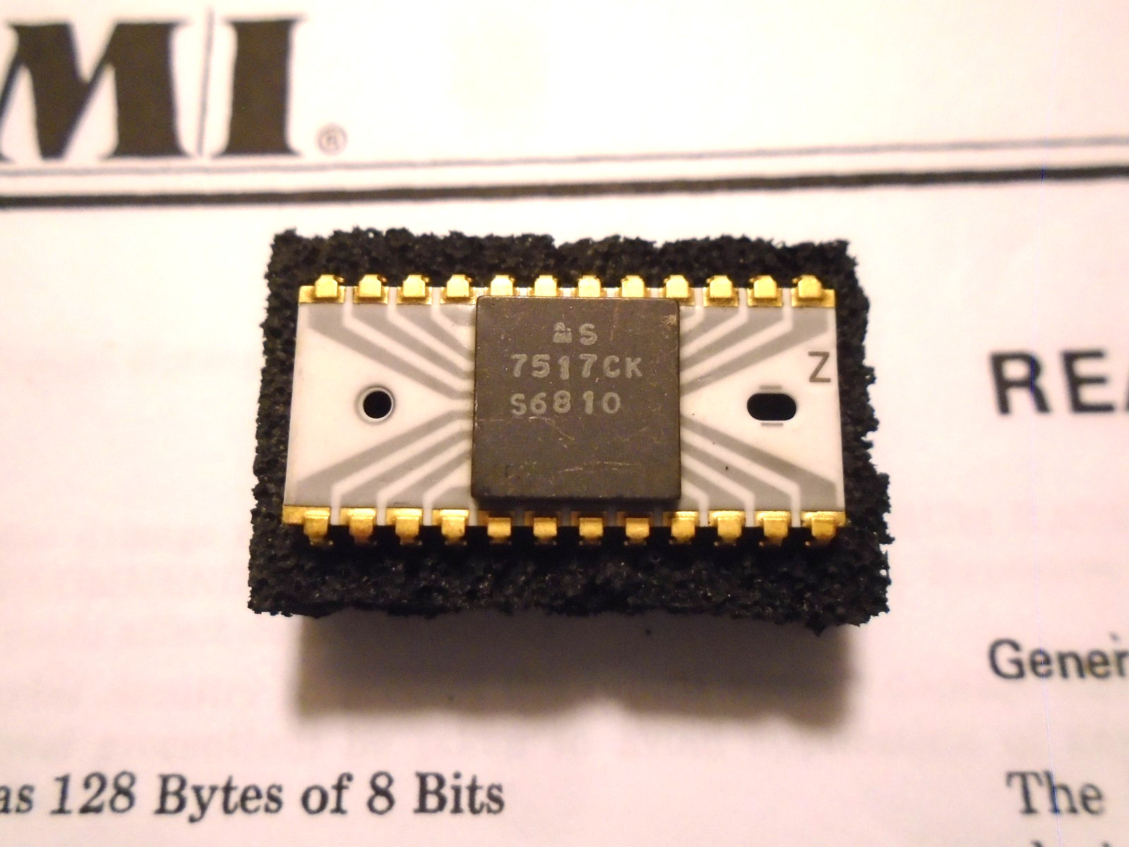 AMI S6810 Memory Chip 1975 RARE ZEBRA Ceramic Gold Made in USA 2 Windows + Data