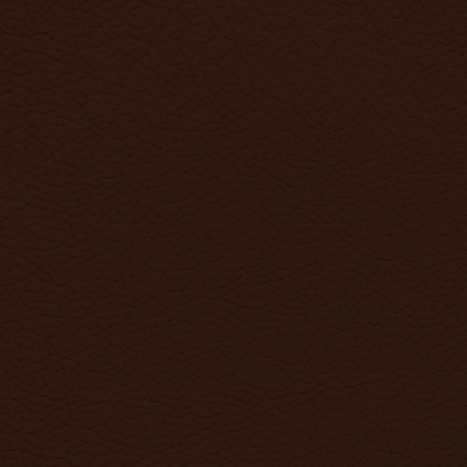 Audi Nougat Brown Leather Dye