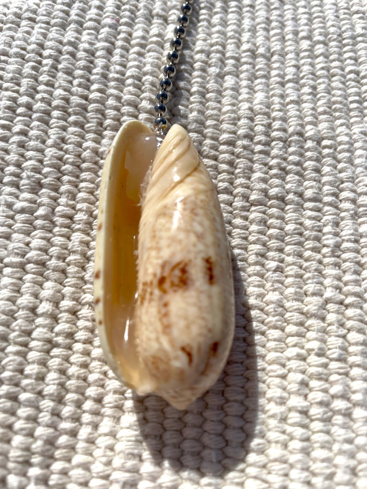 LETTERED OLIVE SHELL FAN PULL Seashell FAN PULL Chain Shell Ceiling Fan Pull