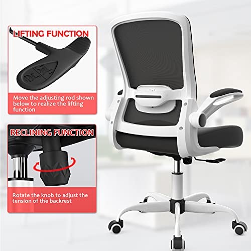 Office Chair, Ergonomic Desk Chair with Adjustable Lumbar Support, Multi Modern
