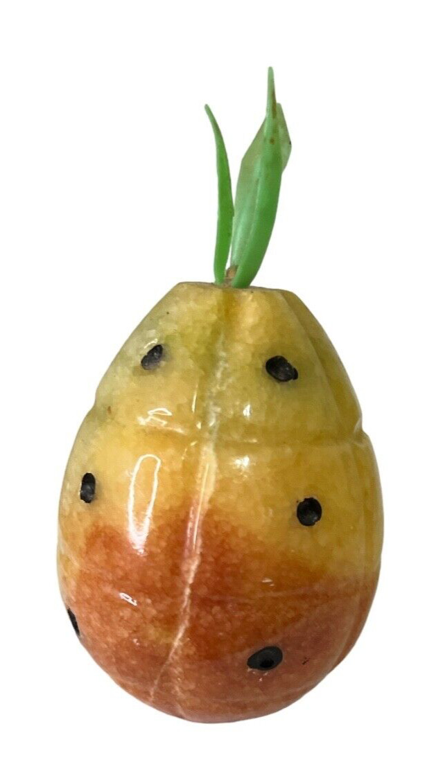Pineapple Bundle Card Holder ... Stencil ... Notepad & Pen ... Paper Weight