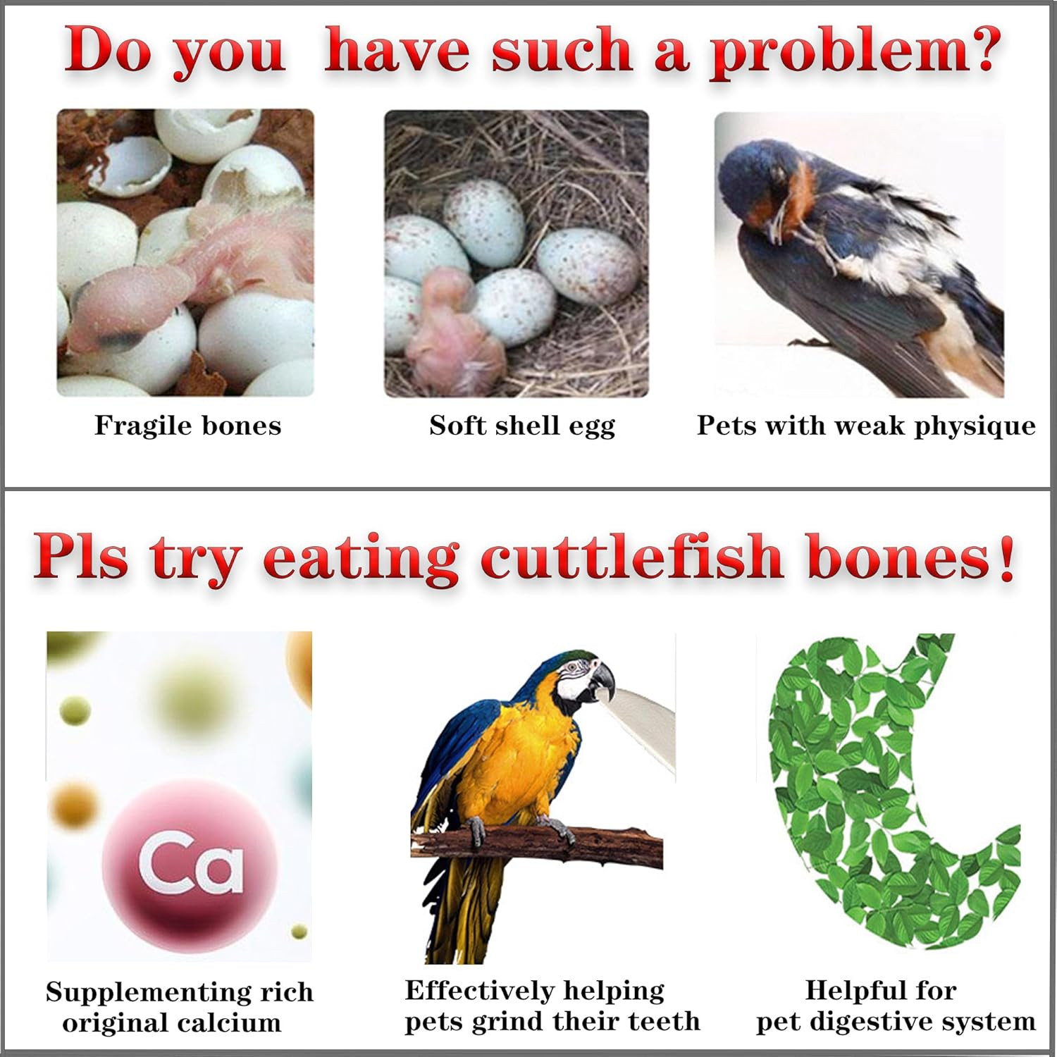 Bird Cuttlebone for Parakeets Cuttlebone for Birds - Natural Cuttlefish Bone Bul