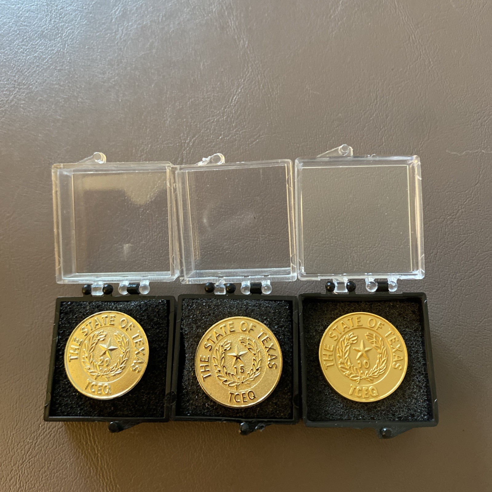 Three State Of Texas Texas Commission On Environmental Quality (TCEQ) Lapel Pins