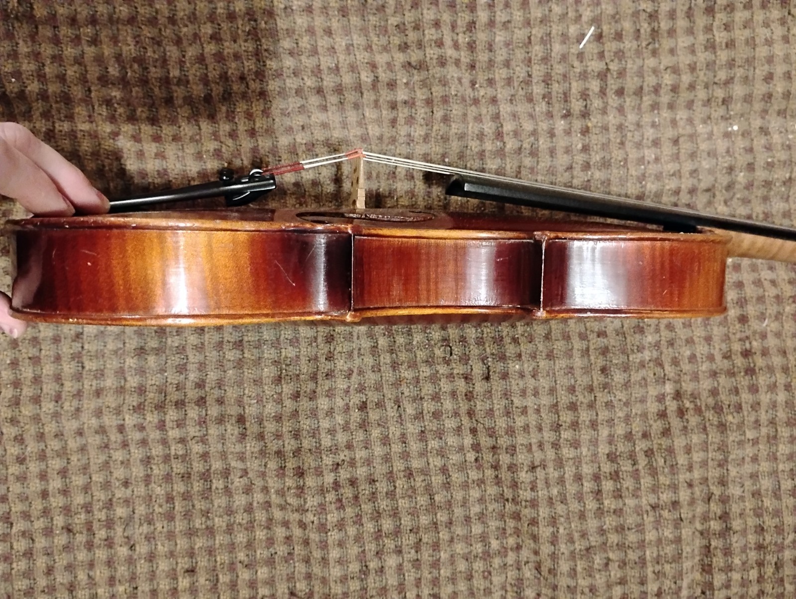 Violin