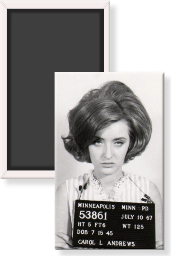 Vintage Lady Woman 1967 Mugshot Carol Andrews Black & White 2 x 3 Fridge Magnet