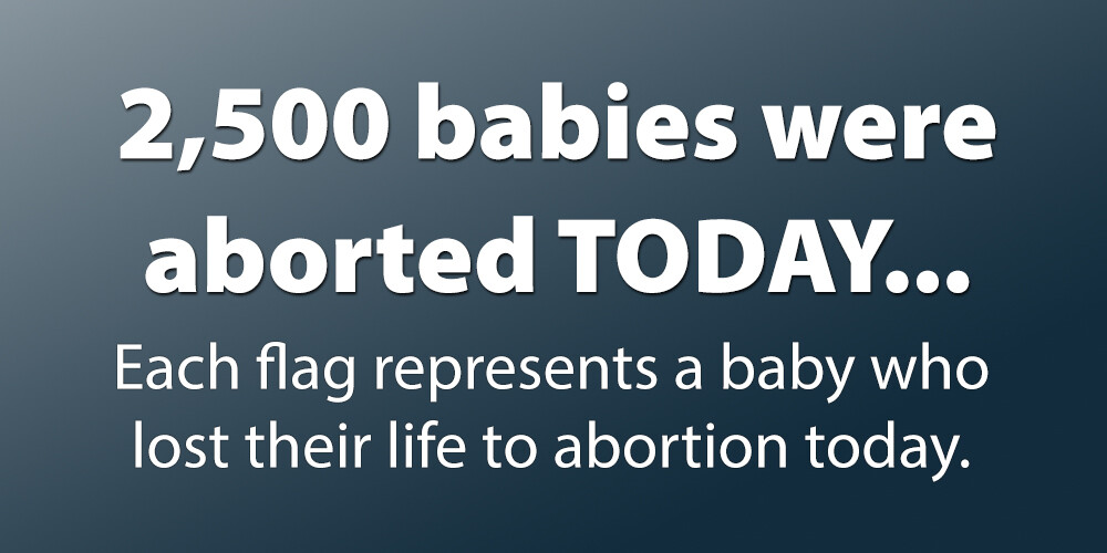 The Day Display Pro-Life Vinyl Sign