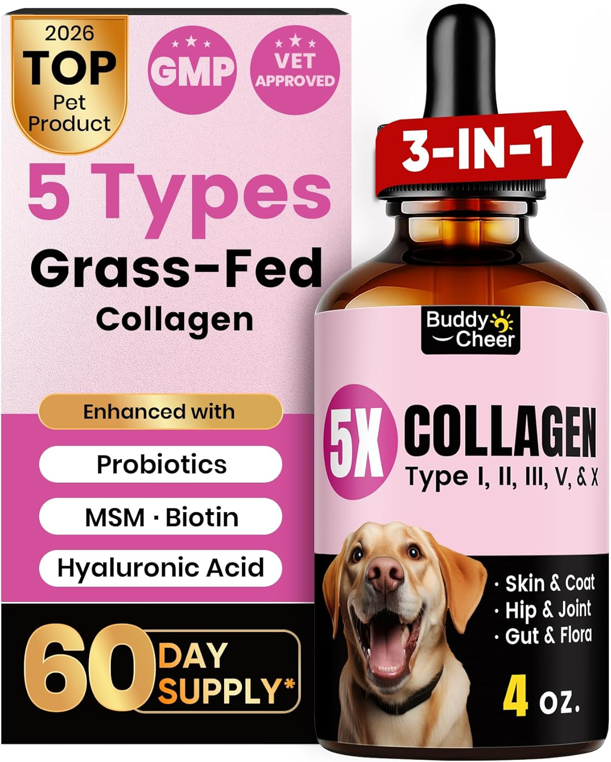 Premium Collagen for Dogs & Cats – 5 Types of Grass-Fed Collagen (I, II, III, V