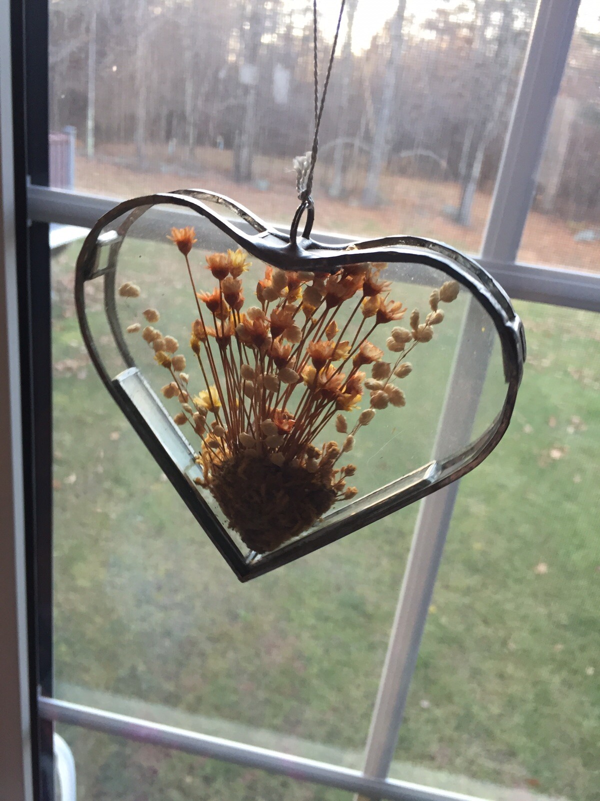 VINTAGE? DRIED FLOWERS IN HEART SHAPED LEADED FRAME..SUNCATCHER..ORNAMENT